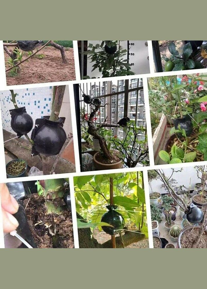 Набір Укорінічувачів Бульб - Прозорі - діаметр 5/8/12 см - 15 шт ❤️ ТМ Comshop (301538118)