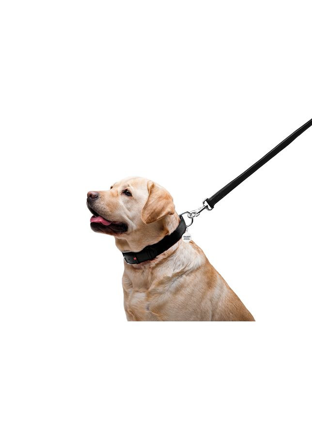 Поводок для собак WAUDOG кожаный черный 25мм 122см для больших пород надежный поводок ProDobro (373221310)