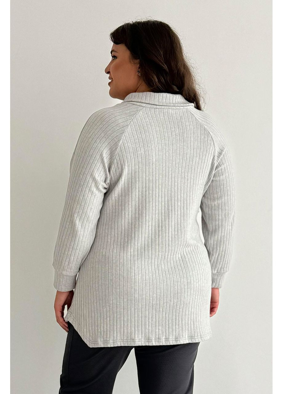 Туніка батал осінь\весна м'яка тканина довгий рукав No Brand 1271-1 (351586452)