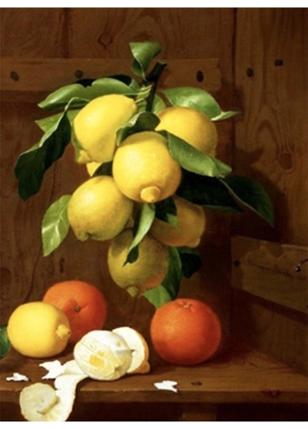 Алмазна мозаїка вишивка Натюрморт з лимонами та апельсинами Антоніо Менсаке на підрамнику повна 5d 30х40 No Brand (332207640)