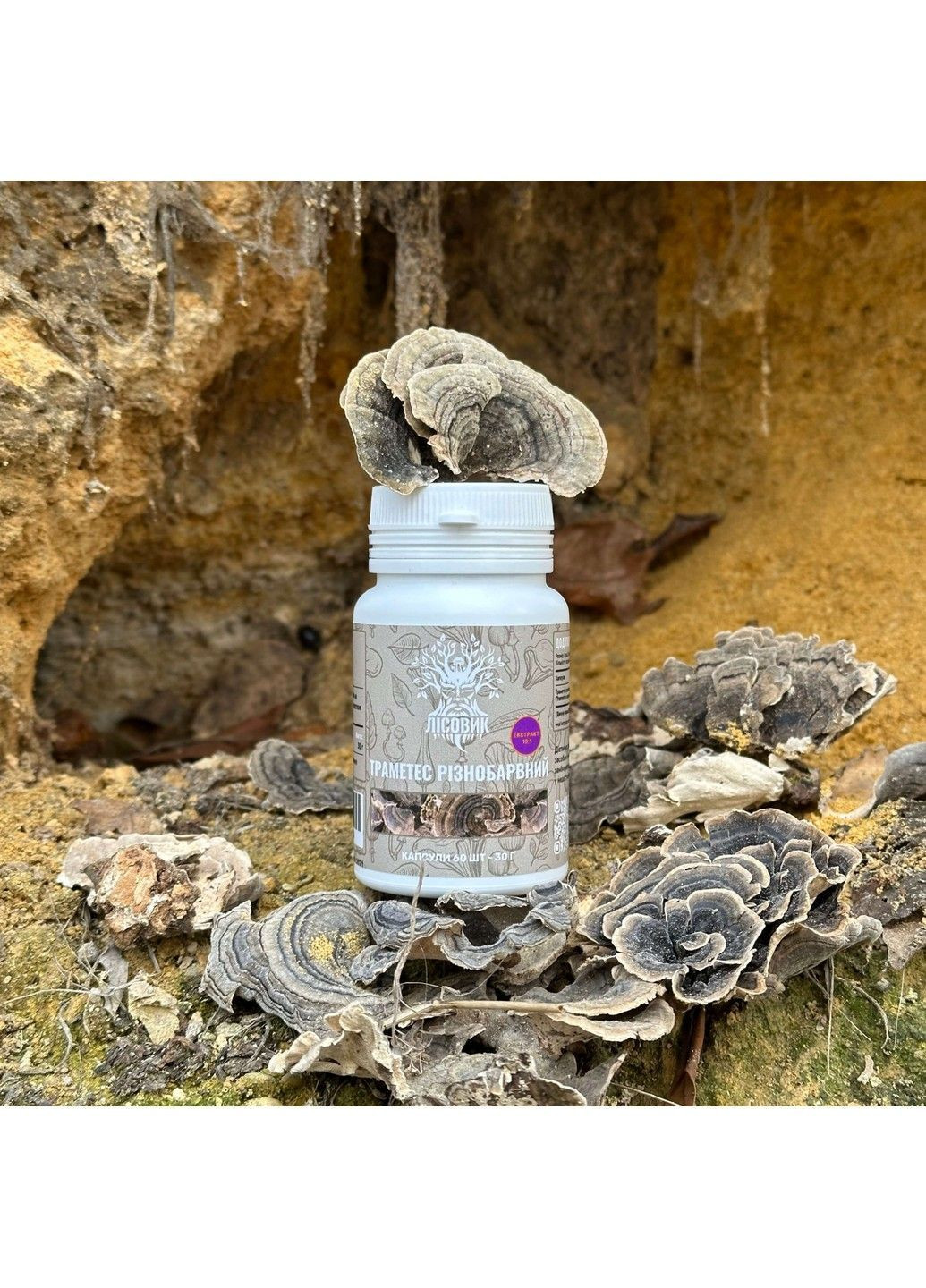 Гриб Траметес різнобарвний екстракт 10:1 60 капсул Лісовик (364210434)