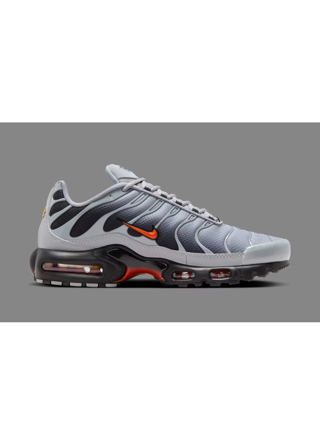 Сірі кросівки чоловічі air max plus wolf grey grey Nike