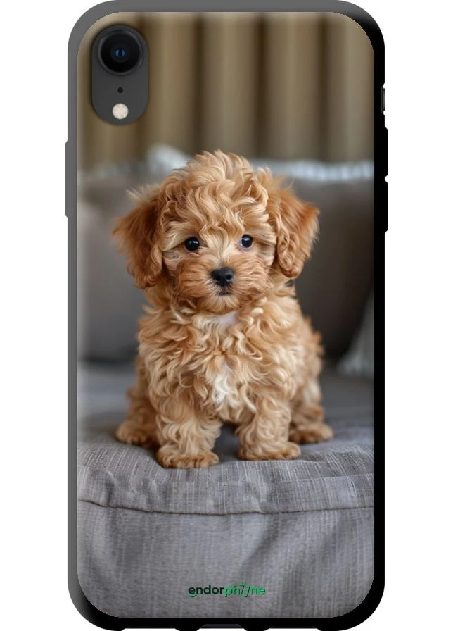 Чехол на iPhone XR Mini-maltipoo "6158b-1560-70447" Endorphone (373901173)