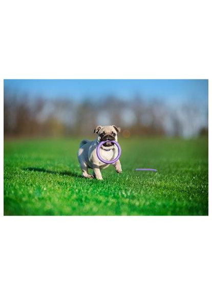 Тренувальний снаряд для собак PULLER 12.см Collar (362136082)