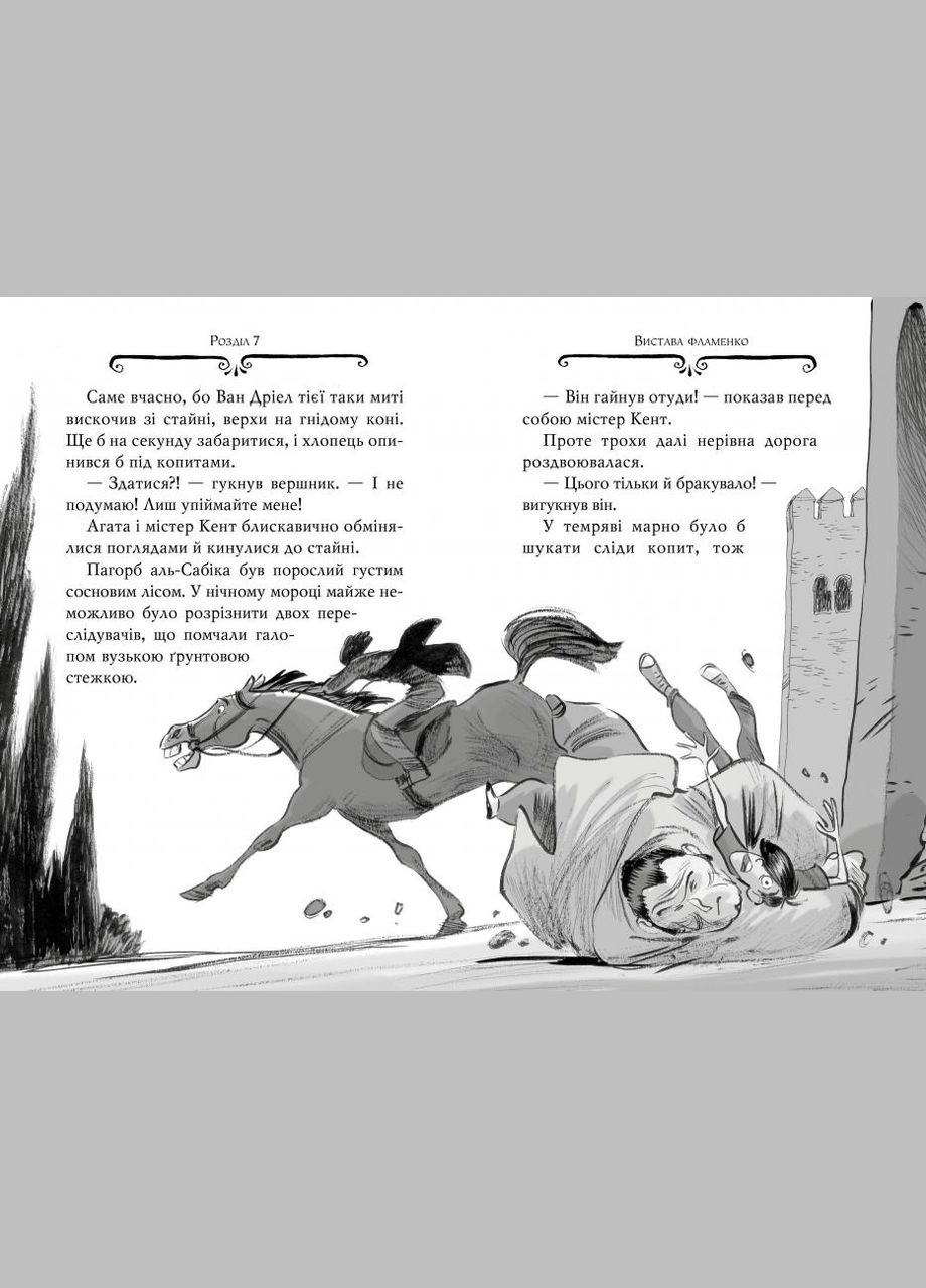 Книга Агата Містері. Розслідування у Ґранаді (Троянда Альгамбри). (кн. 12) - Сер Стів Стівенсон (978-617-8248-51-2) Рідна мова (316123887)