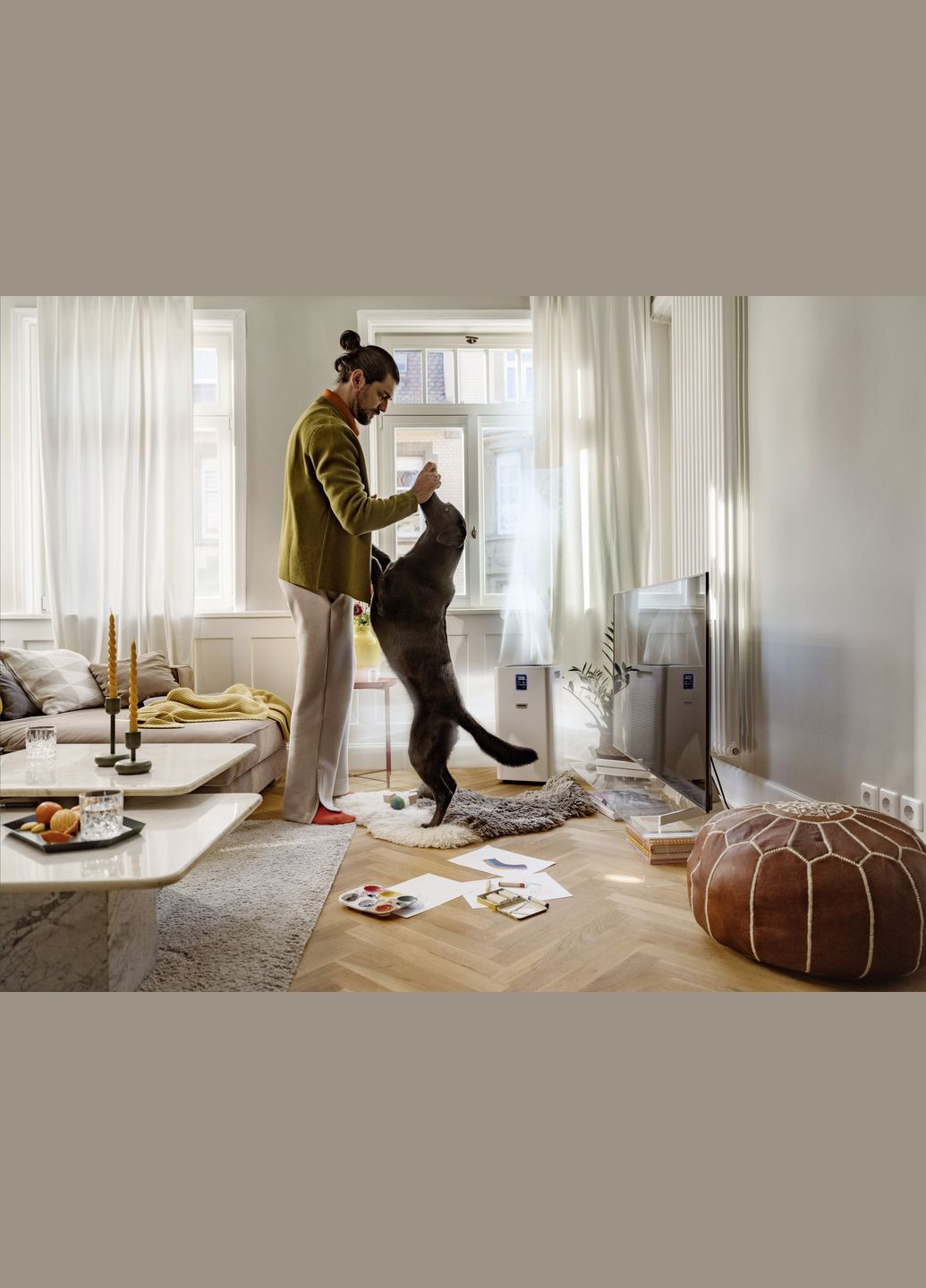 Очисник повітря AF 50, 50м2, 520м3/год, дисплей, 2 HEPA фільтри, 4 режими, інд. забр-ння, KARCHER (315143858)