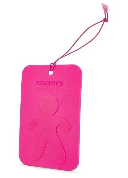Ароматизатор Mr&Mrs Fragrance Cesare Scented Card Citrus & Musk - Освежитель воздуха для автомобиля Mr&Mrs Fragrance Cesare Scented Card Citrus & Mr & Mrs (379160259)
