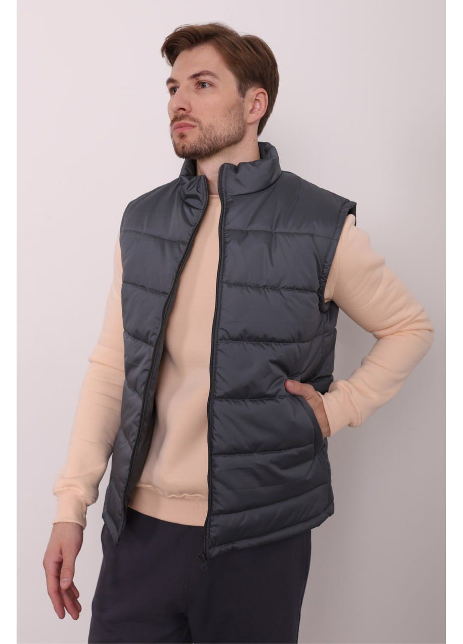 Жилет чоловічий стьобаний утепленний Сірий RAY BASIC (364653032)