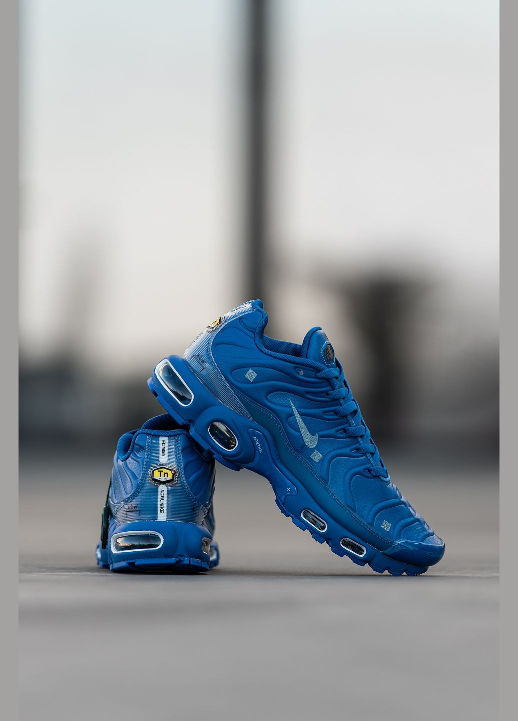 Синие демисезонные кроссовки мужские Nike Air Max TN Plus