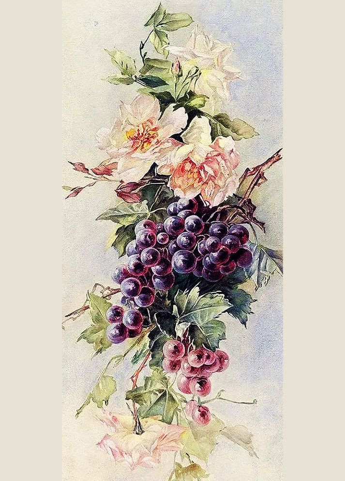 Набір алмазної вишивки "Гілка винограду". Художник Katarina Kline Чарівний діамант (301278865)