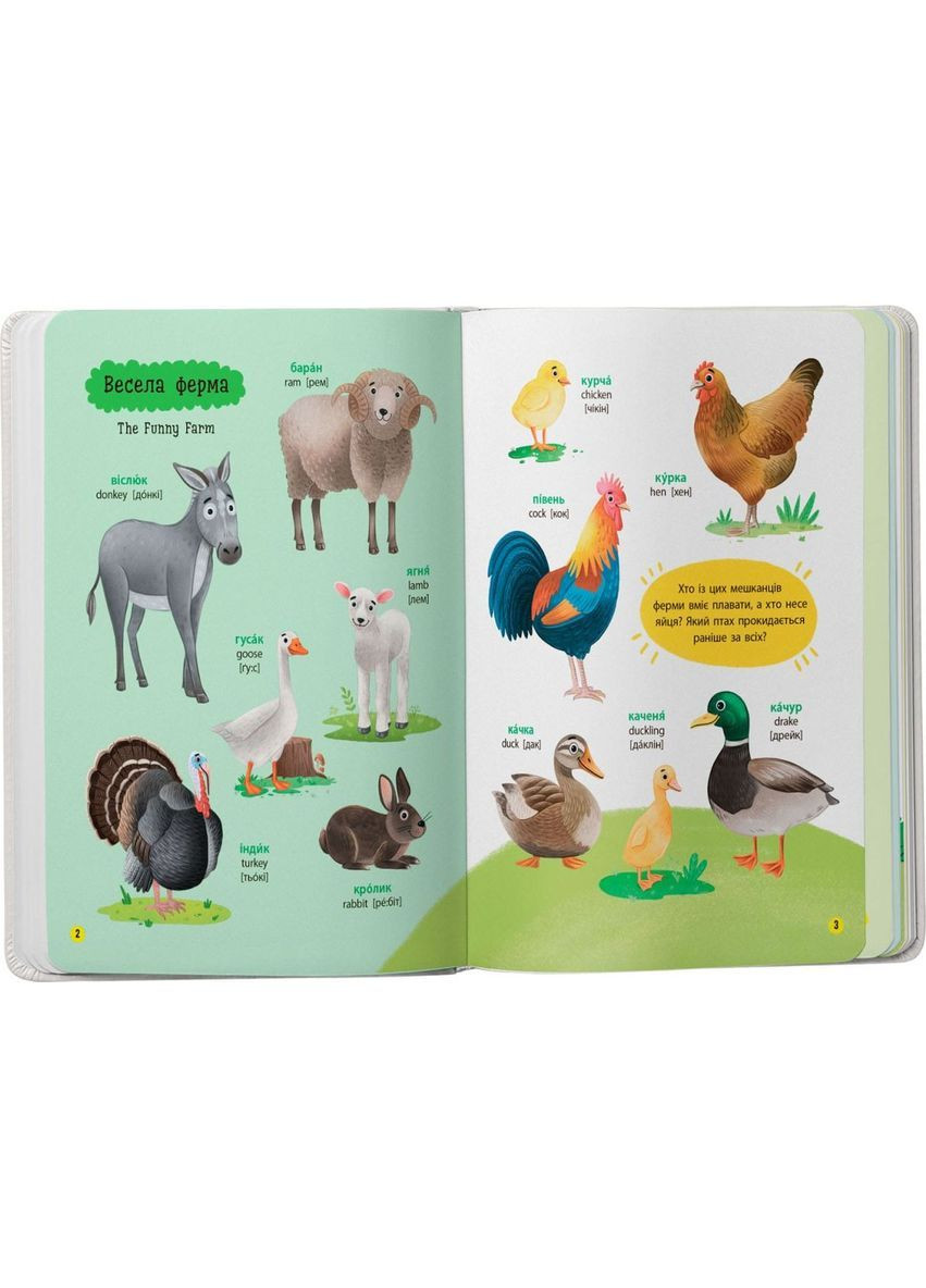 150 перших слів. Тварини - Катерина Столяренко () Кристал Бук F00032030 (368539448)