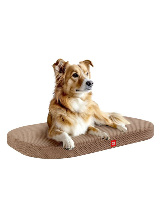 Лежанка для собак Relax, Дорис велюр, со съемным чехлом, L, Ш 100 см, Дл 70 см, бежевый WAUDOG (329745678)
