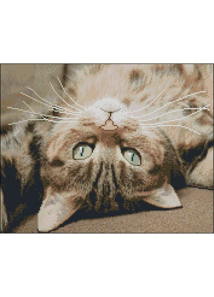 Алмазная мозаика без подрамника "Игривое счастье" ZAV4050-37, 40х50 см No Brand (370079981)