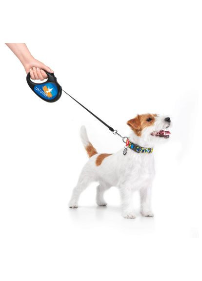 Повідок для собак R-leash "Прапор" M до 25 кг 5 м чорний (8125-0229-01) WAUDOG R-leash &quot;Прапор&quot; M до 25 кг 5 м чорний (366519984)