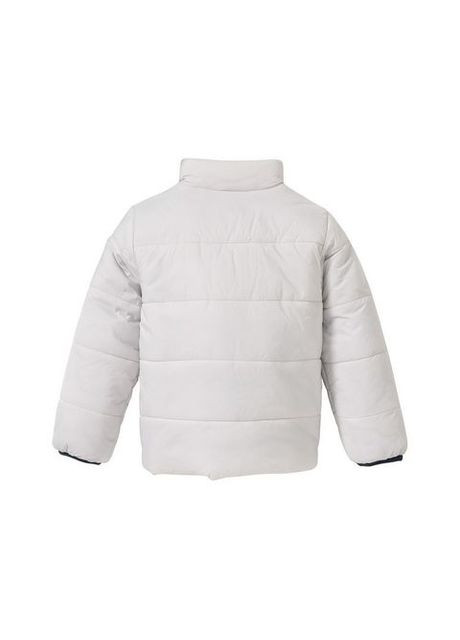 Серая демисезонная куртка демисезонная водоотталкивающая и ветрозащитная для мальчика 308059 Lupilu