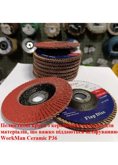 Круг лепестковый Ceramic P36 торцевой 00000053476, 22,2 мм, для УШМ, 1 шт., диаметр 125 мм Workman (395901061)