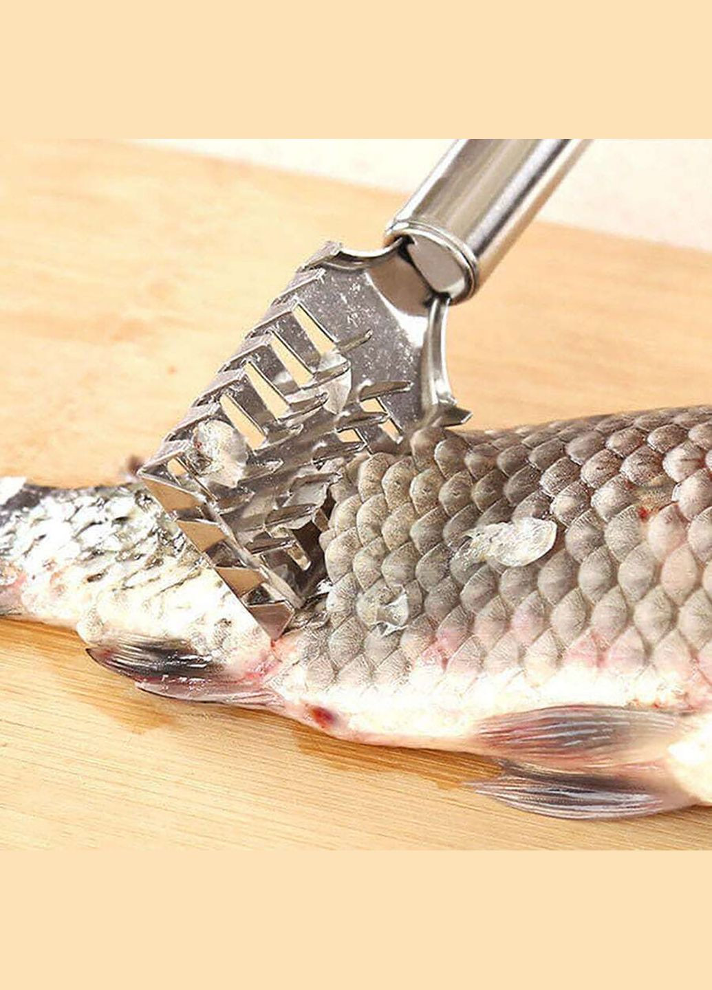 Рыбочистка 4-рядная из нержавеющей стали скребок для быстрой чистки рыбы 19.5 см Kitchen Master (317638703)