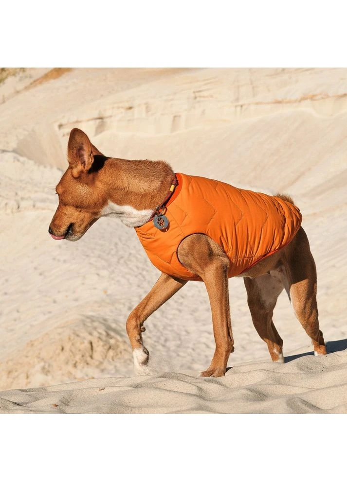 Жилет для собак E.Vest оранжевый Pet Fashion (395729939)