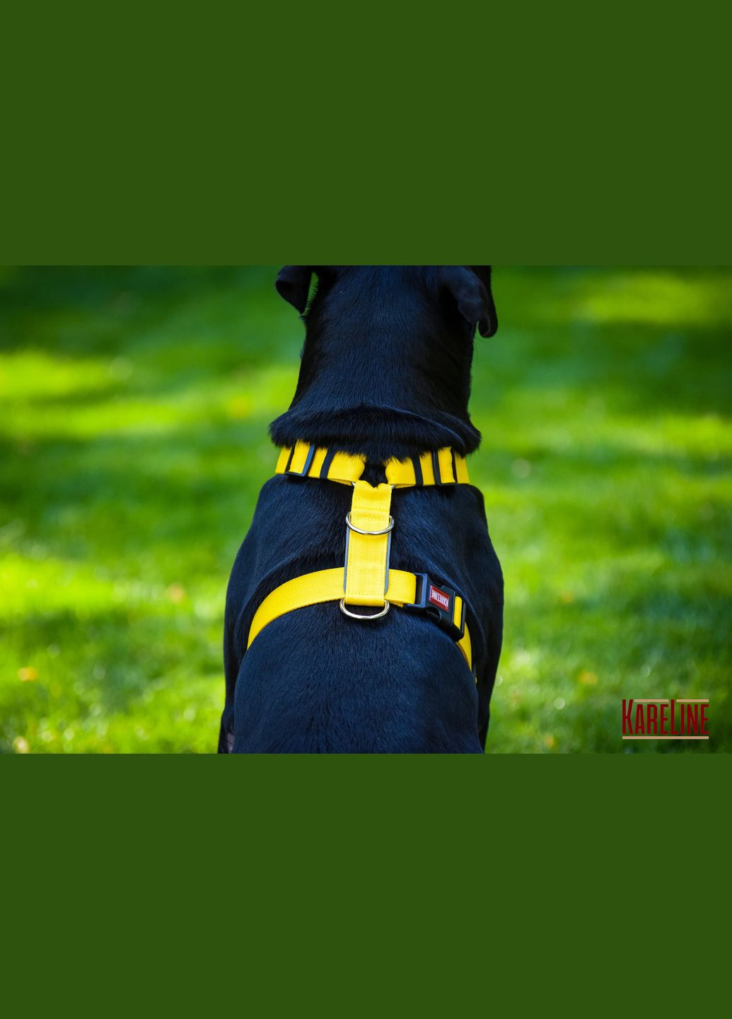 Шлея анатомічна нейлон Keeper Active із світловідбиваючим кантом h25 A340-540 B470-690 Kareline (339075610)