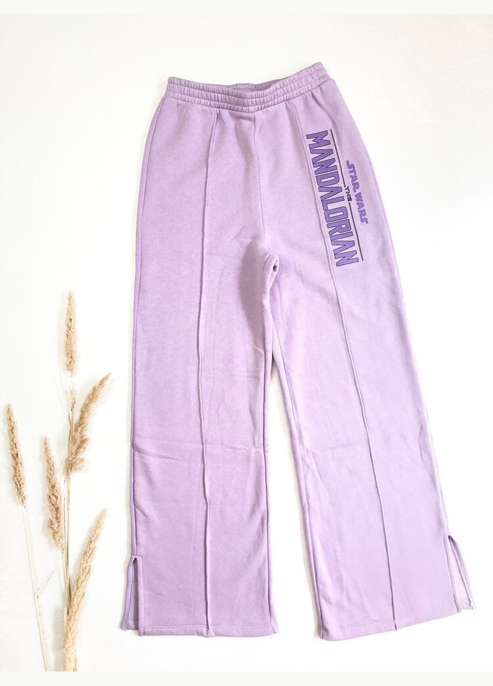 Спортивні штани 152-158 см фіолетовий артикул Л859 H&M (287338976)