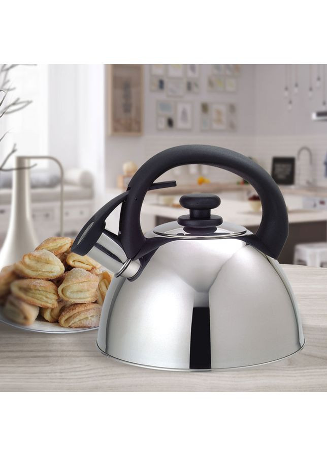 Чайник со свистком MR-1302-OLD 2 л серебристый Maestro (362263680)