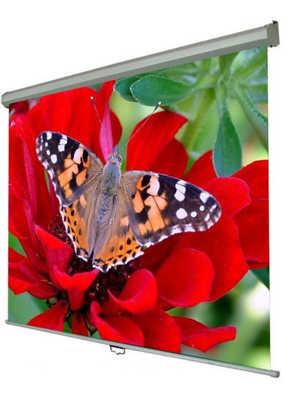 Екран настінний ручний 72" SNM1 (110*145, 4:3) Walfix (314834372)