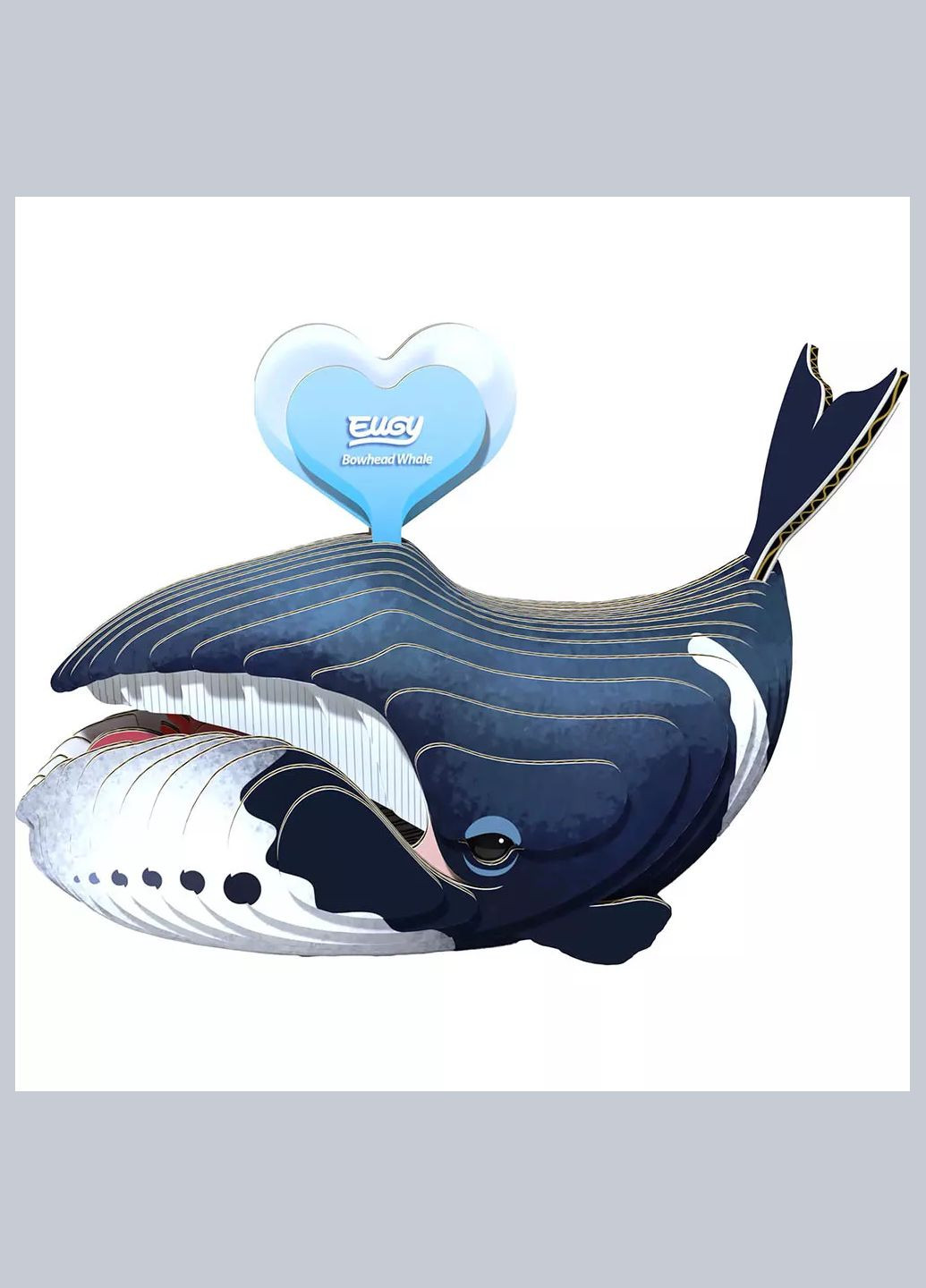 Сборная 3D модель Зоопарк Гренландский кит (XEG-084) Eugy (333252816)