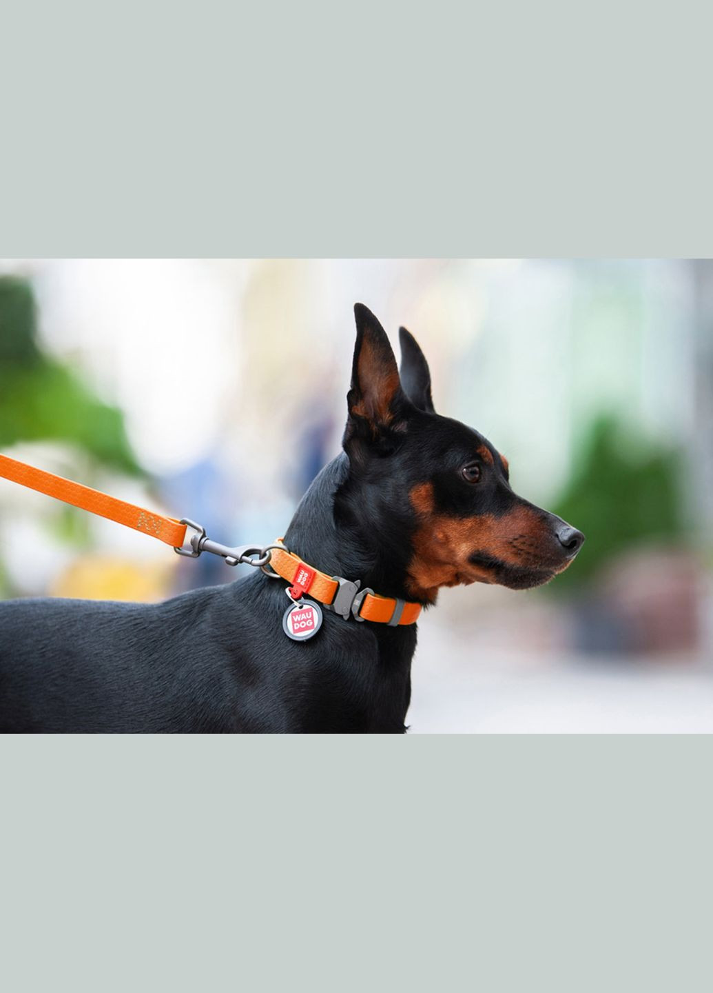 Нашийник для собак водостійкий Waterproof Металева пряжка-фастекс Ш 25 мм Д 31-49 см Жовтогарячий WAUDOG (279561552)