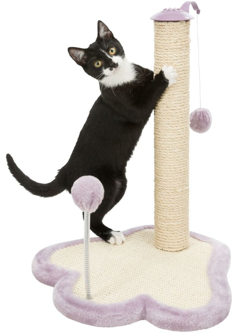 Когтеточка для кошенят Junior Стовпчик-лапа з іграшками Світло-бузковий/натуральний 40 х 38 х 50 см (4011905429311) Trixie (329994755)