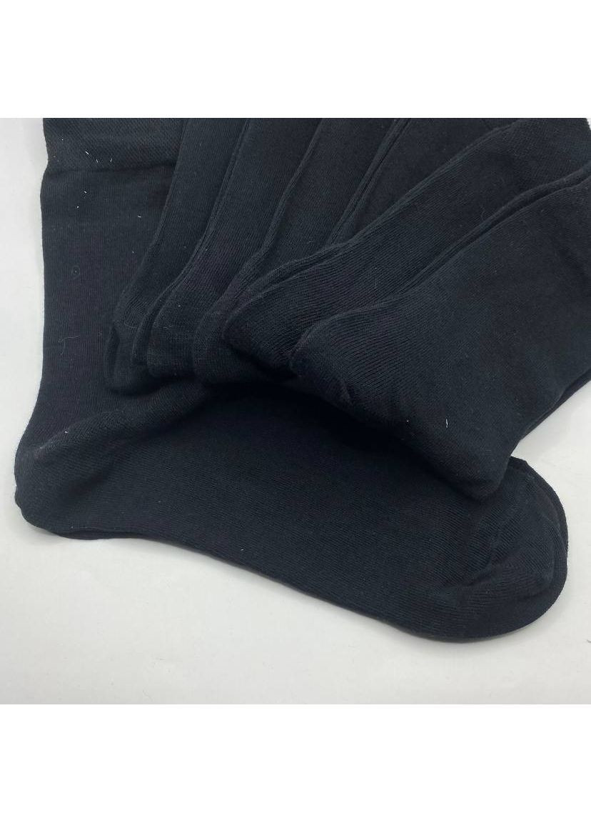 Чёрные набор мужских носков 7 пар Livergy (363264211)