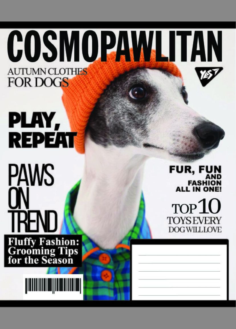 Тетрадь ученическая Animals fashion 767786 48 л. Разноцветный shop (4823092293848) Yes (345877214)