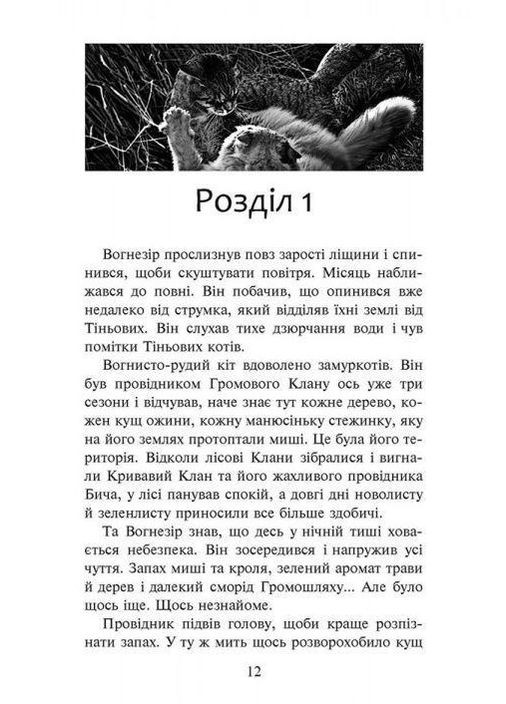 Книга Котивояки. Шлях Вогнезора. Спеціальне видання АССА (273238332)