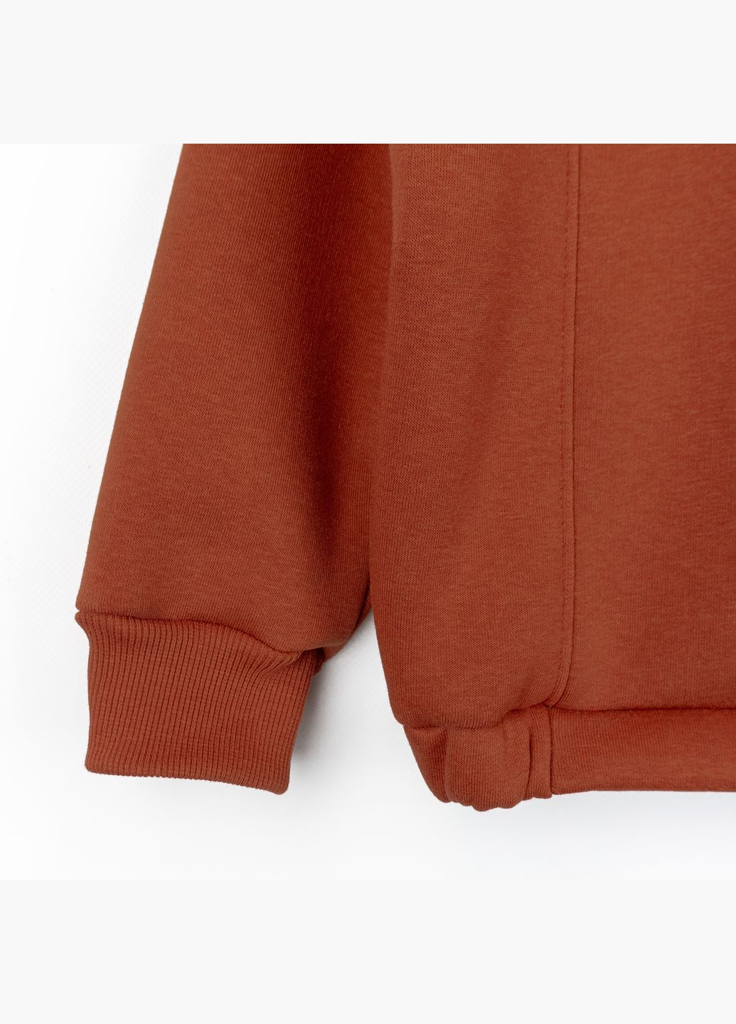 Детский теплый костюм Dexter`s на флисе cinnamon dexter's (322583363)