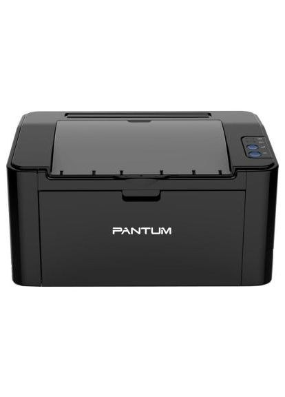 Лазерный принтер P2500W с WiFi (P2500W) Pantum (301089099)