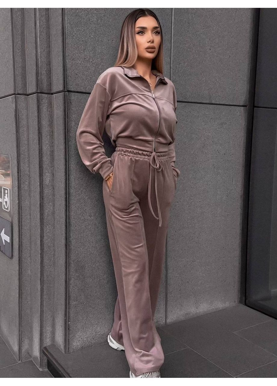 Трендовый велюровый костюм двойка No Brand (363969613)