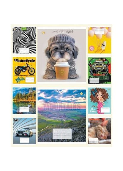 Тетрадь ученическая 12230 Микс 18 листов shop (4820049491302) Тетрада (337647698)