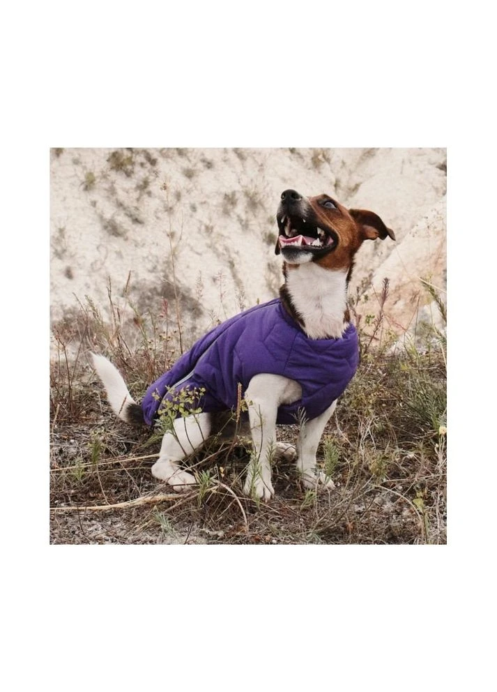 Жилет для собак E.Vest фиолетовый размер Pet Fashion (395731935)