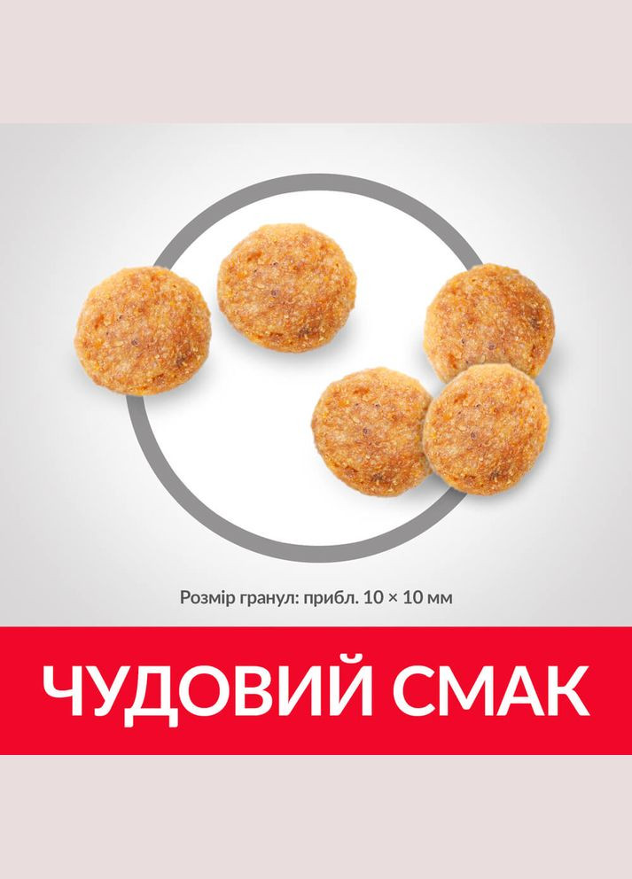 Корм Science Plan Feline Adult Chicken сухий з куркою для дорослих кішок 0.3 кг Hill's (315825245)