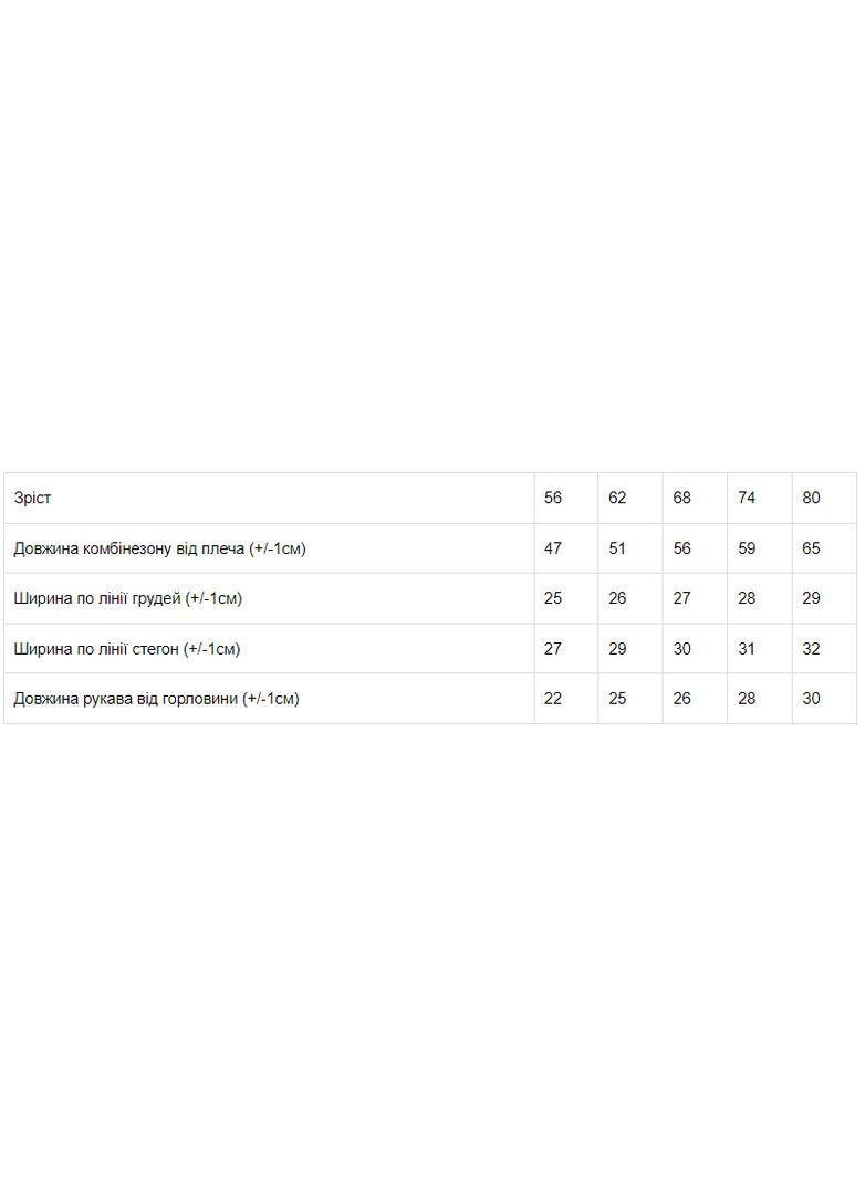 Комбинезон ясельный для мальчика HC (h001-9872-002-4) No Brand (308790540)