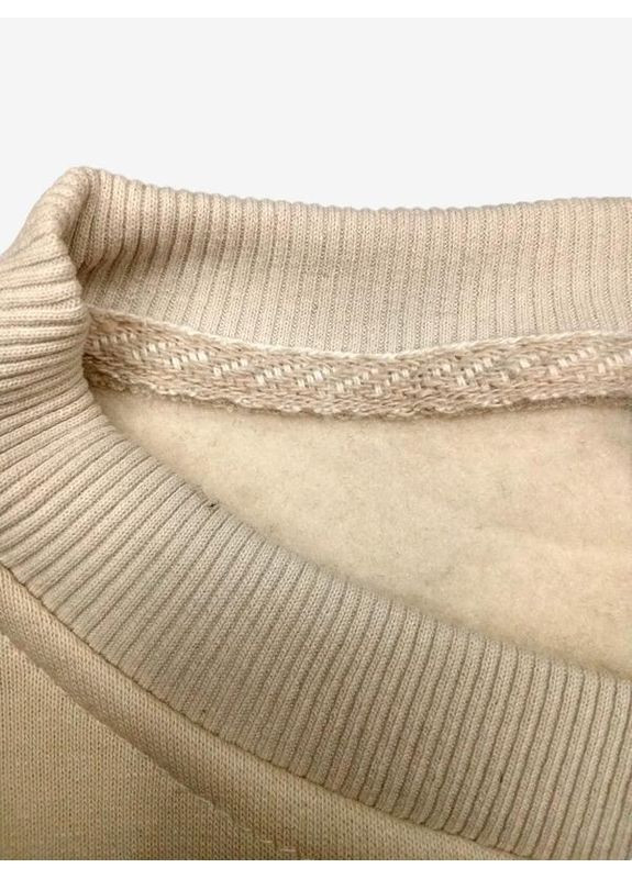 Світшот светр зимовий / осінній на флісі бежевий No Brand (369660713)