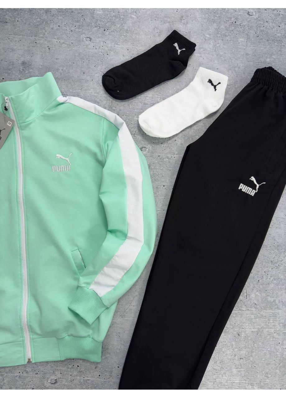 Спортивний костюм пума No Brand (353827640)