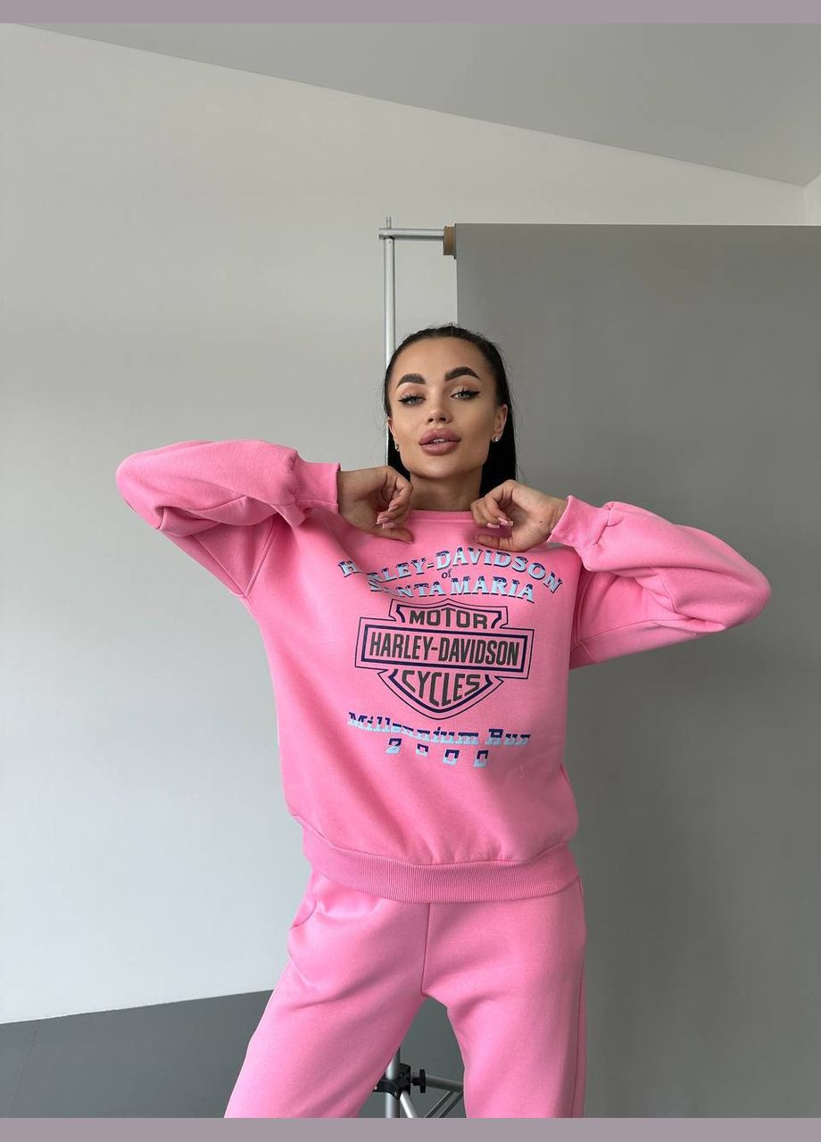 Рожевий світшот жіночий напис без декору (302528064)