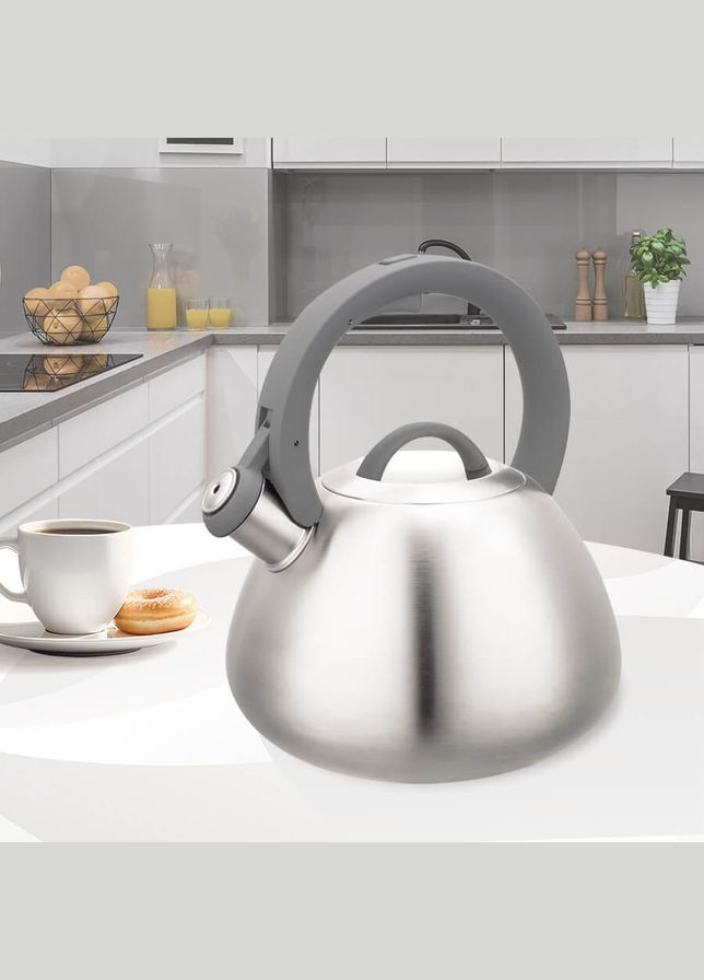 Чайник со свистком для плиты 2.8 л (MR-1312) Maestro (334713046)