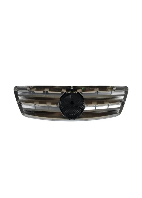 Решетка радиатора Mercedes S-class W220 2002-2005 (B-W22013) No Brand (381823006)
