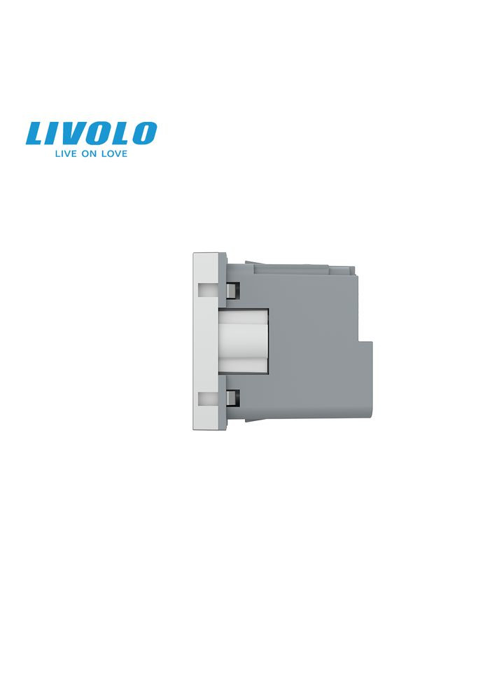 Умный механизм розетка EC с заземлением (VL-FCTC16AZ2-2IP) Livolo (370985107)