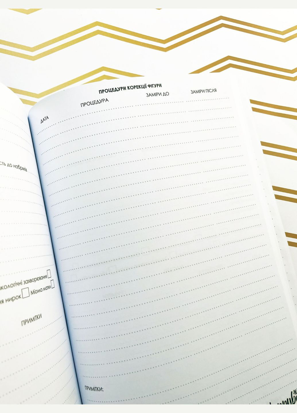 Планер Массажиста Figasse 544 (300358776)