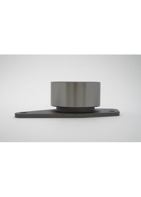 Ролик натяжний ременя ГРМ RE Clio 99-05, Laguna 97-01, Megane 97-03 (вир-во ) GT50620 GMB (345768320)