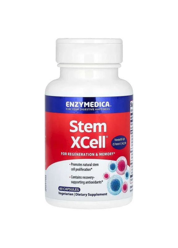 Ферменты для мозга Stem XCell, 60 капсул Enzymedica (361115625)