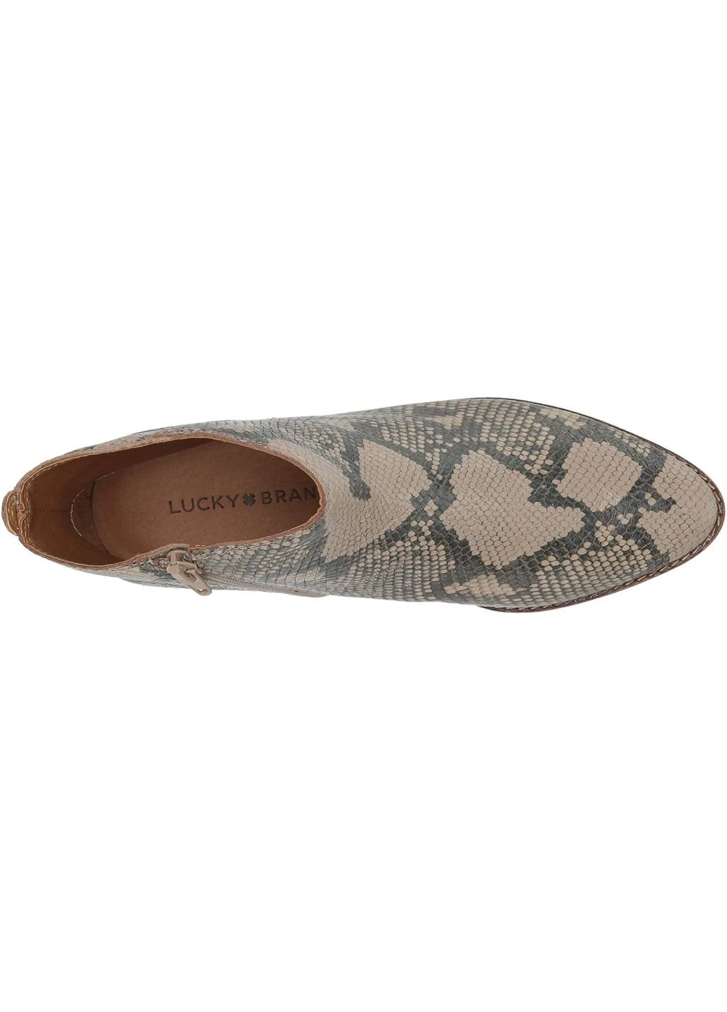 Черевики Lenree зміїний принт,0310LK5907 40р. (устілка прибл. 25 см ) Lucky Brand slim fit (368854736)