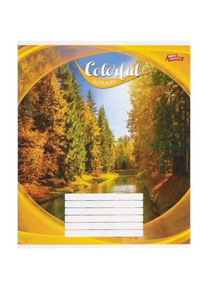 Зошит кольоровий 24 листи клітина Мрії Збуваються для школи та навчання 16 штук ProDobro (367092321)